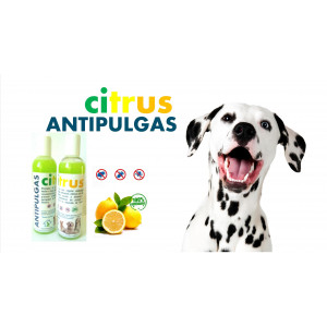 Citrus Antipulgas Shampoo, 1 Lt.